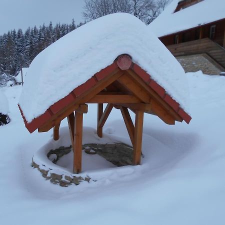 Chata U Lesa Villa Vyprachtice Luaran gambar